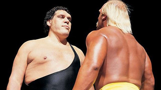 Wrestlemania 3